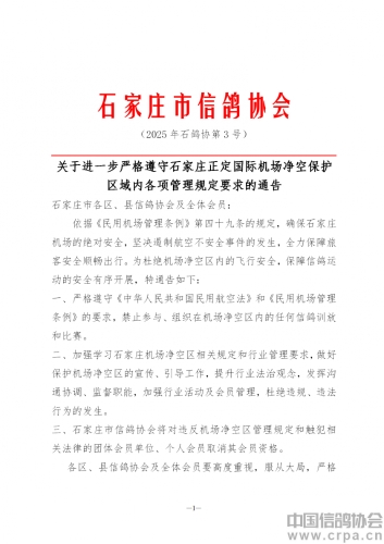 石家庄市信鸽协会