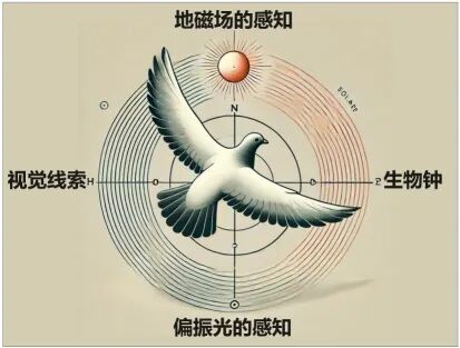 各自3