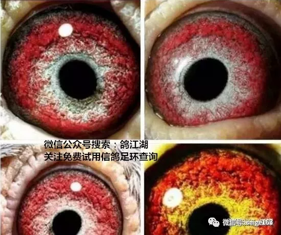 0e7a75fb-73cb-4a27-915a-cad951f57298