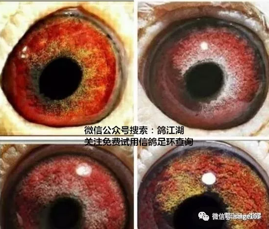 e7cd747b-be4c-43af-b6f8-ecdbeba8e9ae