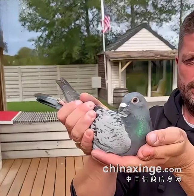 69bb2587-365f-45cb-89fc-b601e8b2432d