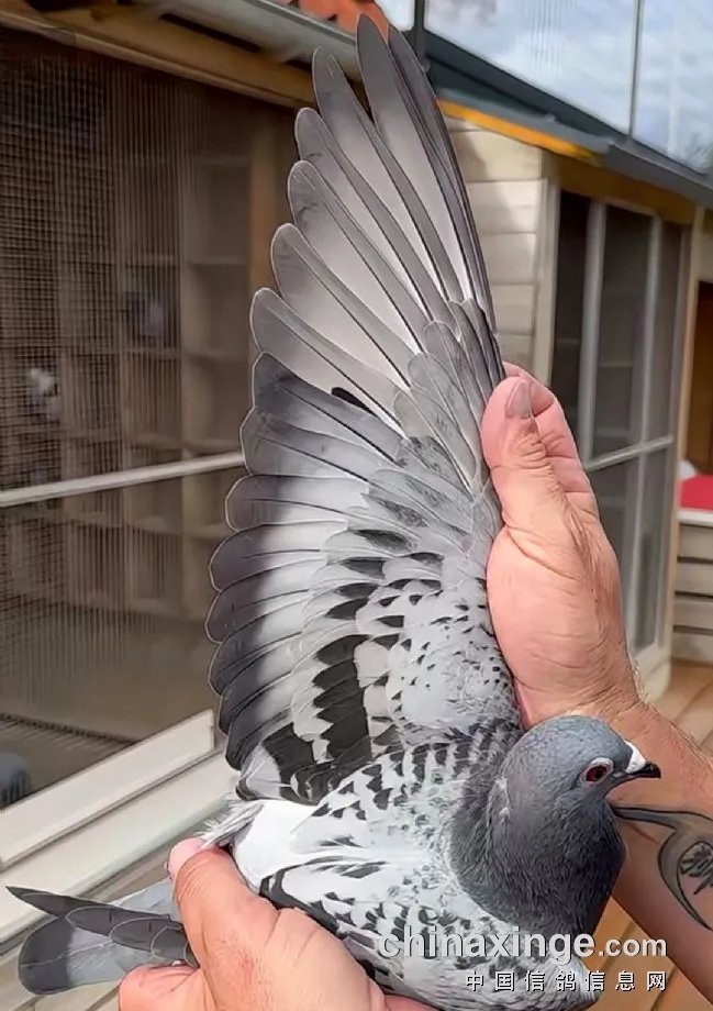 5e0da275-d0ac-417a-8fd9-ca9f313d1a99