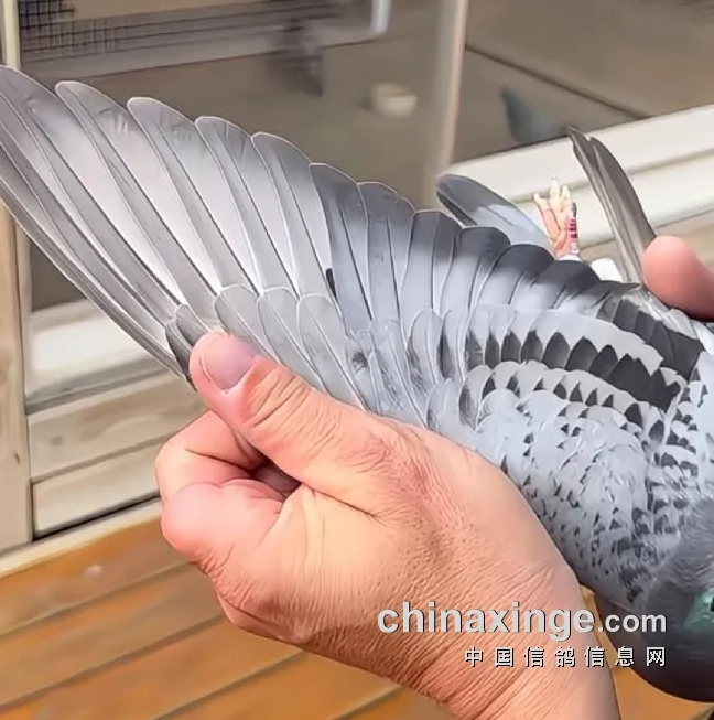 c12d0ede-ac3b-4144-a03d-a055e39db03a