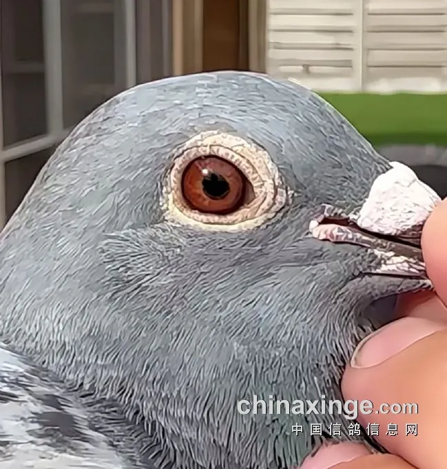 36ad1e50-75e0-40f0-8c11-a948927f0df2