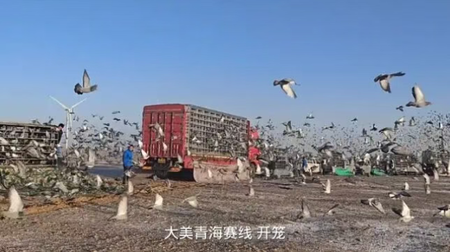 a2f46748-51fc-4adb-935e-b1b59d35e401