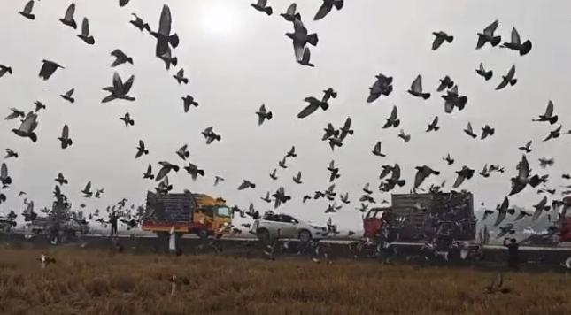 8f884716-6f9d-43b6-a327-4b5a18d6a8ea