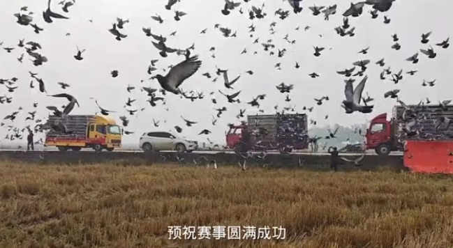 ba8a0c86-edd9-4038-9b23-763230a1254d