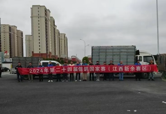 3b36231d-1c64-4467-ad19-3b6fa0854bbd