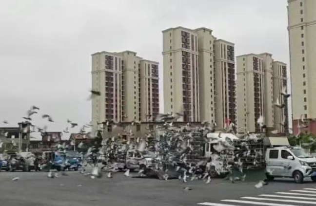 5c01bcec-6705-4f34-9f62-13e36d111133