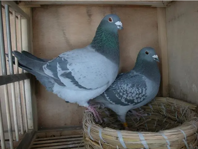 207a9699-ad80-48c2-a376-82efaf65c285