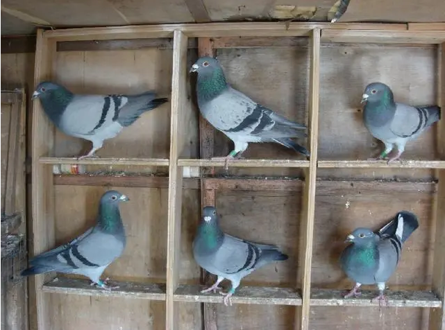 ca8f6811-4bbc-498b-9eba-071fbd2a7531