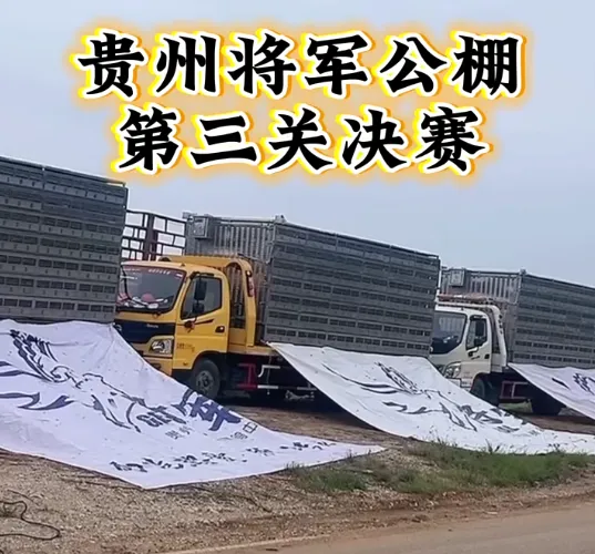 91f16358-f543-4eaf-a890-be80390116c7