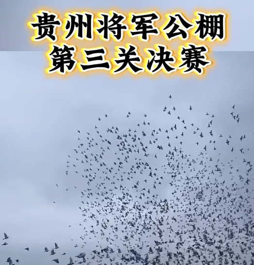 f0be0c1d-c0f8-437c-a8ad-c98a3612736f