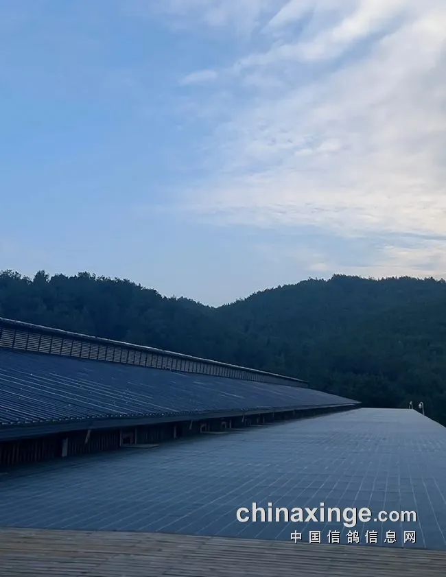 7753c490-8f96-4056-a164-b1ffaf2f2f8f