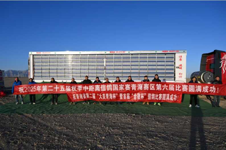 6ace1797-580c-4f1b-aa2f-dd7cb4af2738 6ace1797-580c-4f1b-aa2f-dd7cb4af2738