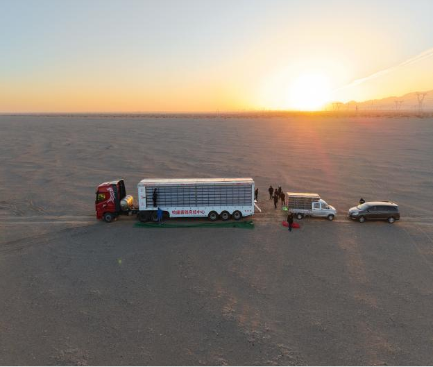 9518d95f-ad78-4ccb-83bf-f79376339b36 9518d95f-ad78-4ccb-83bf-f79376339b36