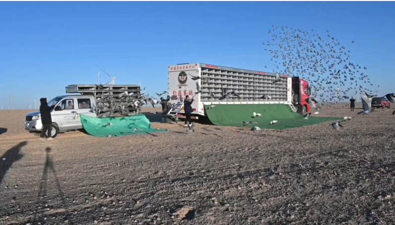 a4e7d107-cffe-4f6a-82dd-e2ea008b8348 a4e7d107-cffe-4f6a-82dd-e2ea008b8348