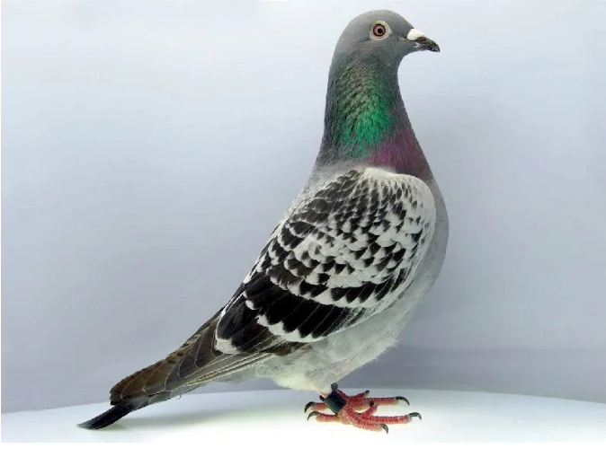 b354a7c0-0e59-4bf7-b5b6-cb5e741d3432