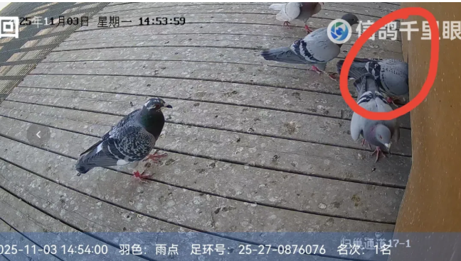 51a79a91-0152-479a-8f83-b039286afa3d