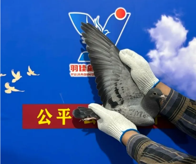 7d6c75c6-96c5-47b8-a4dd-fecfb033944f