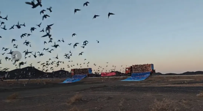 de43328e-61ac-478c-b8dd-296871853529