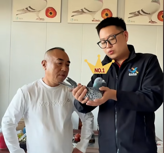 b55158b0-b5b4-4186-9c6f-f9520fbcc1d4