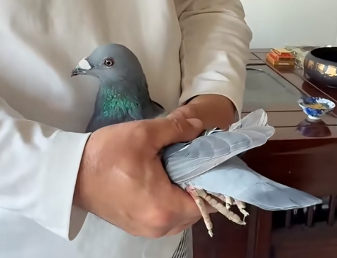 55d56792-a325-4194-a21e-54d6a7234fad