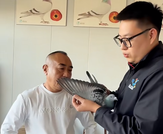 64312017-0a3b-4909-9680-0d1ab16fa2b8