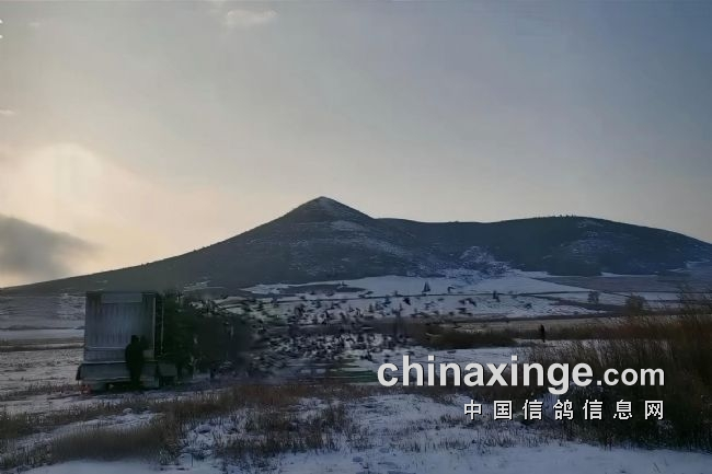 237104f6-ccdb-4a47-be7c-e0feb56bf8ec