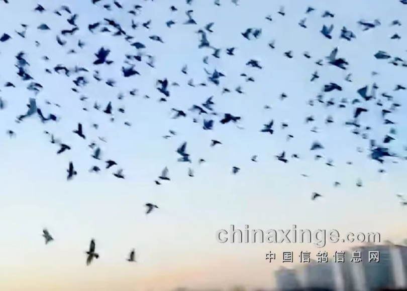 4363a34e-7497-4201-b3ca-7c2b69e80ad2 4363a34e-7497-4201-b3ca-7c2b69e80ad2