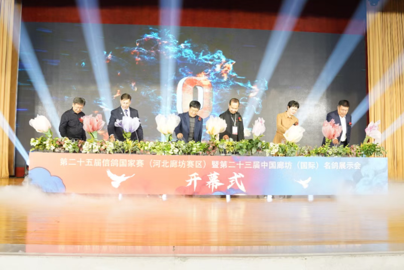 34cdcc52-1fcb-49ba-ac42-6c427c08e74a 34cdcc52-1fcb-49ba-ac42-6c427c08e74a