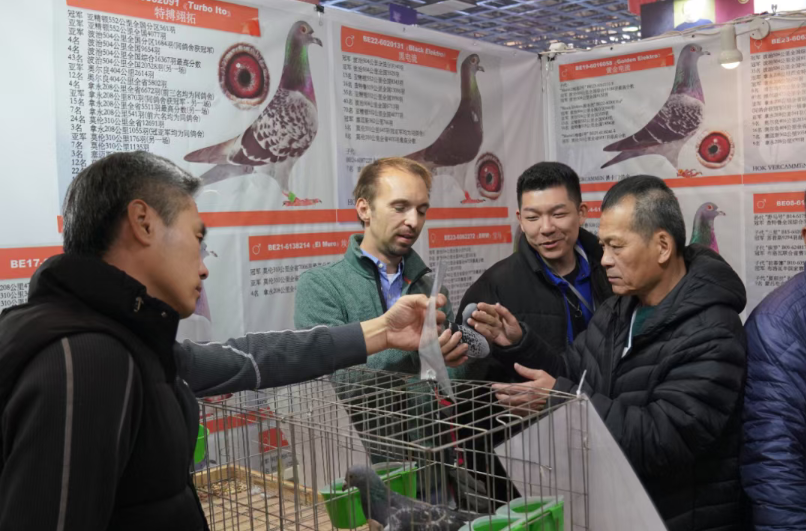 fbbbcfa1-ecd6-467e-b988-a4f191b158ef fbbbcfa1-ecd6-467e-b988-a4f191b158ef