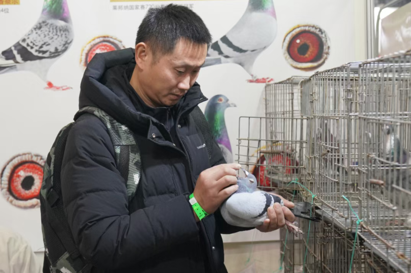 dd95224c-db7f-44d2-8cc6-61fb457f74ad dd95224c-db7f-44d2-8cc6-61fb457f74ad