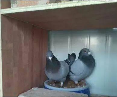 f633abed-bffd-4c19-a585-e62524cc5664 f633abed-bffd-4c19-a585-e62524cc5664