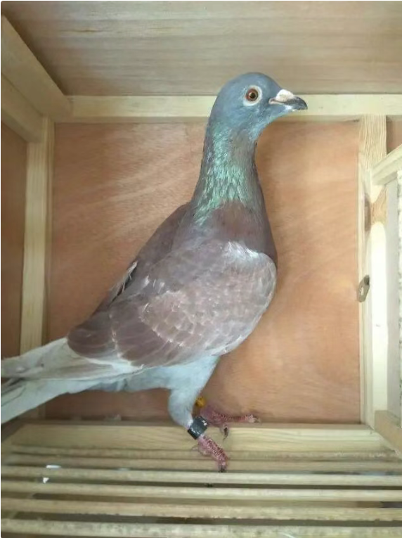 3dfa50a9-67bd-4805-9c3d-7815a62b7fc7 3dfa50a9-67bd-4805-9c3d-7815a62b7fc7