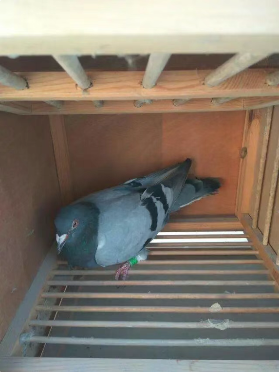 f4d4bf8a-86ca-4be2-9354-7348126b13b7 f4d4bf8a-86ca-4be2-9354-7348126b13b7