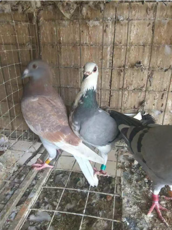 d124a22e-0569-43b8-b41d-48f1fd3d9f89 d124a22e-0569-43b8-b41d-48f1fd3d9f89