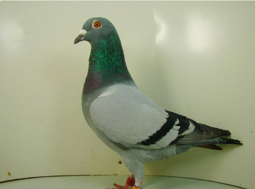 4f599640-0c03-40f2-adec-fca76a1b06fb 4f599640-0c03-40f2-adec-fca76a1b06fb