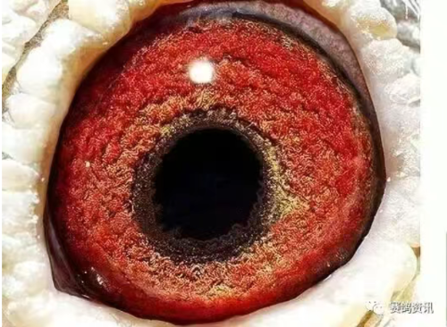 679be9a0-fd27-46ad-b3bf-47b1022b8f27