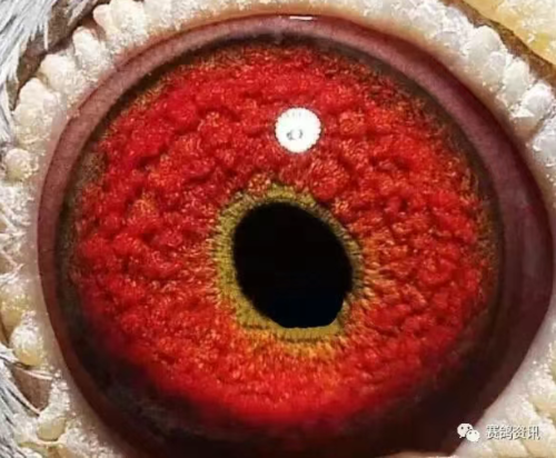 852dce71-5bbe-4ec6-bbeb-bcdbd49d074d