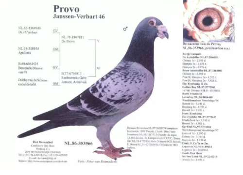 30e15cf5-ee9d-4995-bdb7-a982fadd2f6a