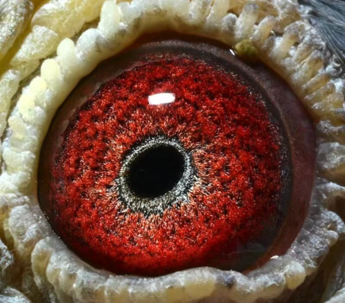 0c5f85ac-a79d-4d4b-bcfd-734b075c501b