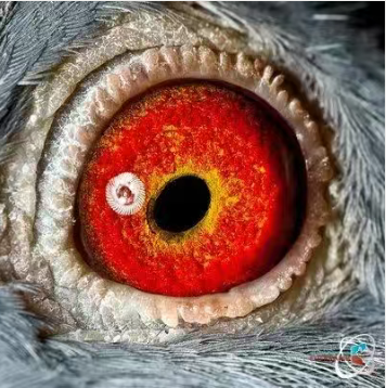 ef3b3fb0-6511-49f8-aa4e-683da30d9770