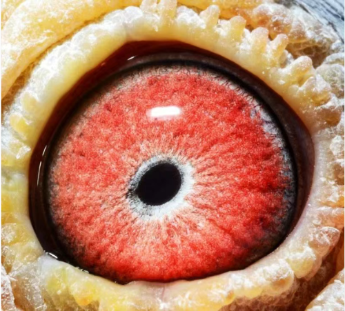 2fb9c547-604d-4a66-b281-8c89e8972f2b