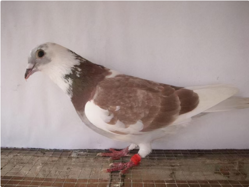 06da4f14-be0d-4fe5-a831-4806b834e9c3