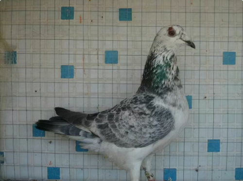 dd1aacea-053f-40bf-8731-e108b4c48b10