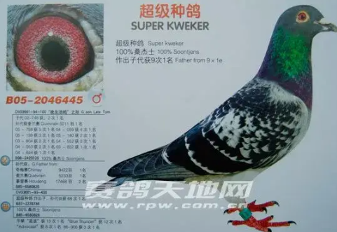 cfd42a01-64c5-4abe-989c-9a40ad19786b