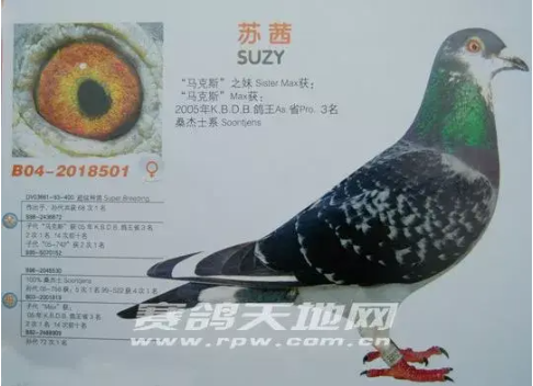 c42e0834-ea93-48bb-a7ce-18ffa2f1be60