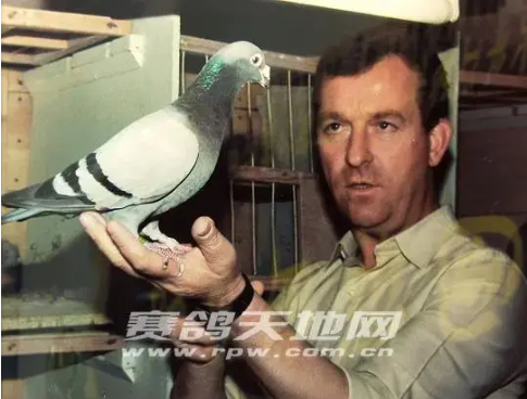 bcf25925-d4ae-4b84-8107-b0e2f8eaf625