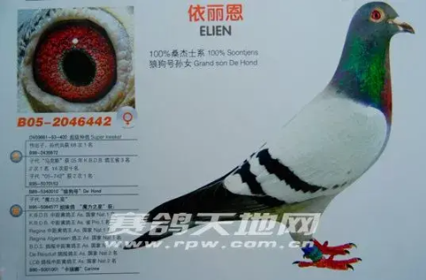 fced0d60-7293-423f-b3ee-0b8469c45426